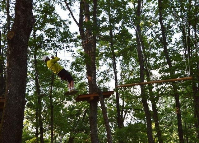  In the park for adults and children 